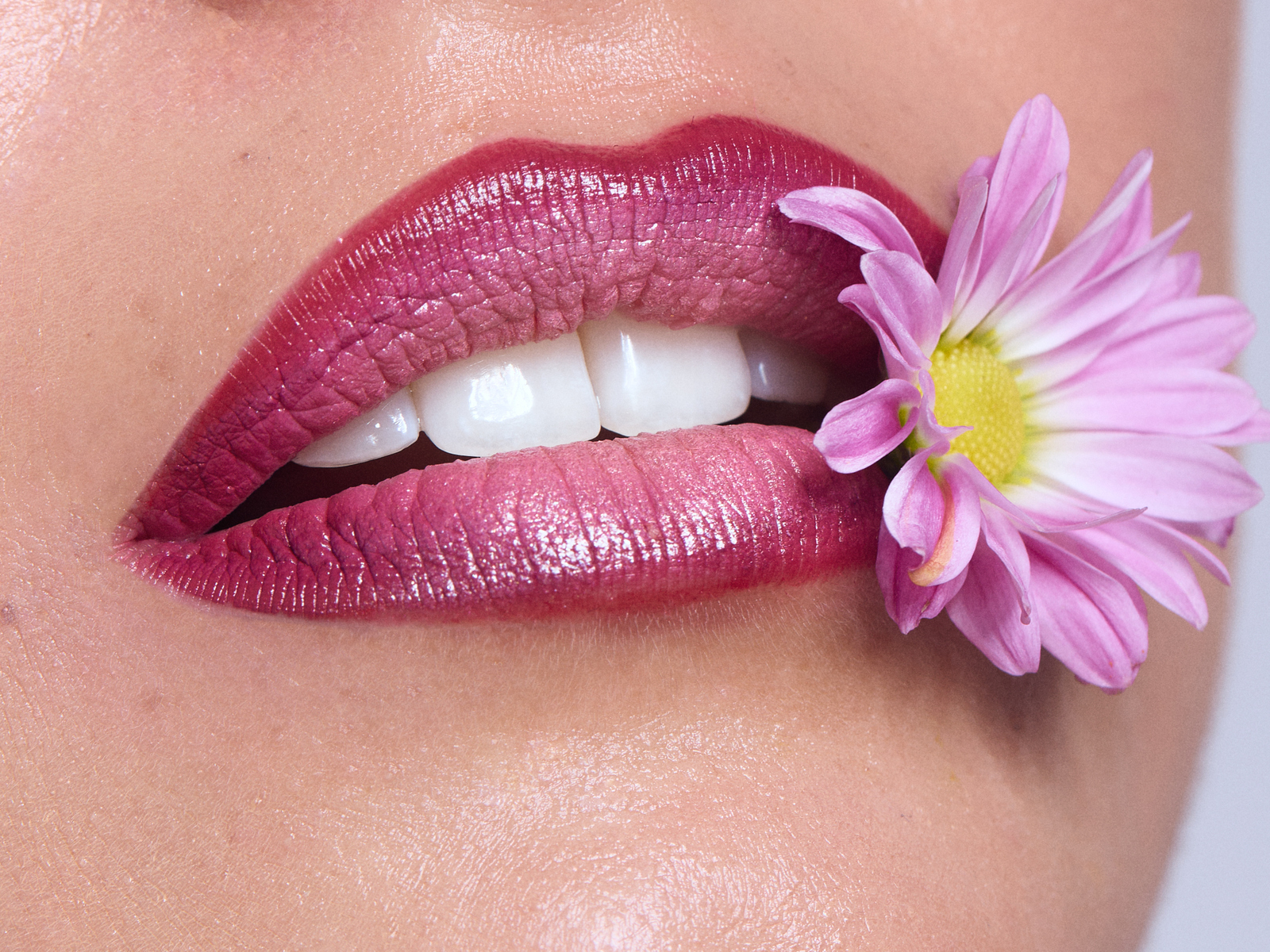 Macro beauty photograph of glossy pink ombré lipstick with a pink flower held between the model’s lips.